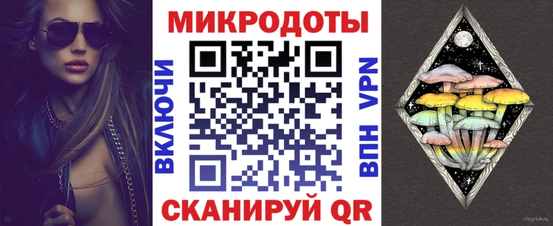 Псилоцибиновые грибы мицелий  продажа наркотиков  Шенкурск 
